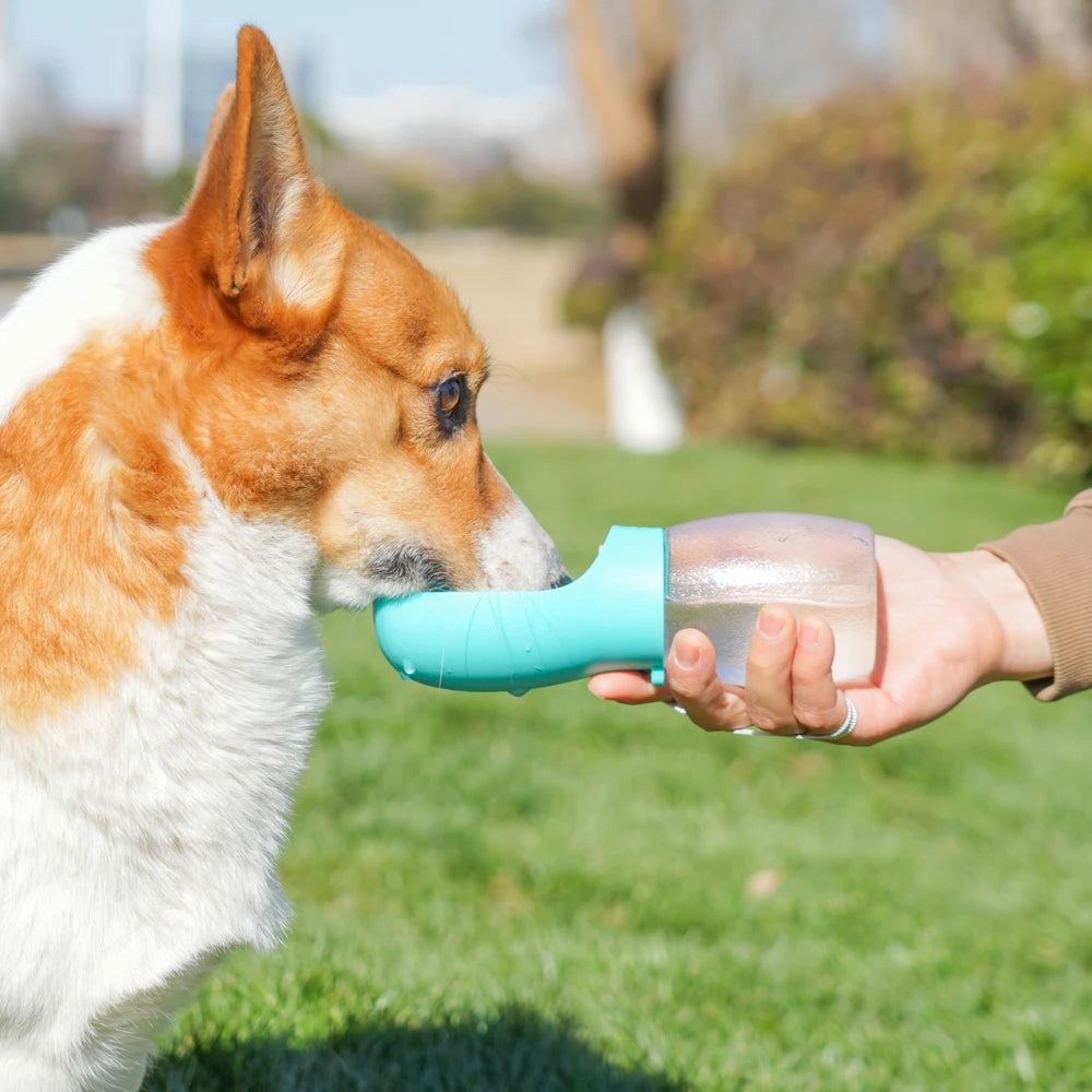 FreshPet – Bebedero de viaje portátil para mascotas