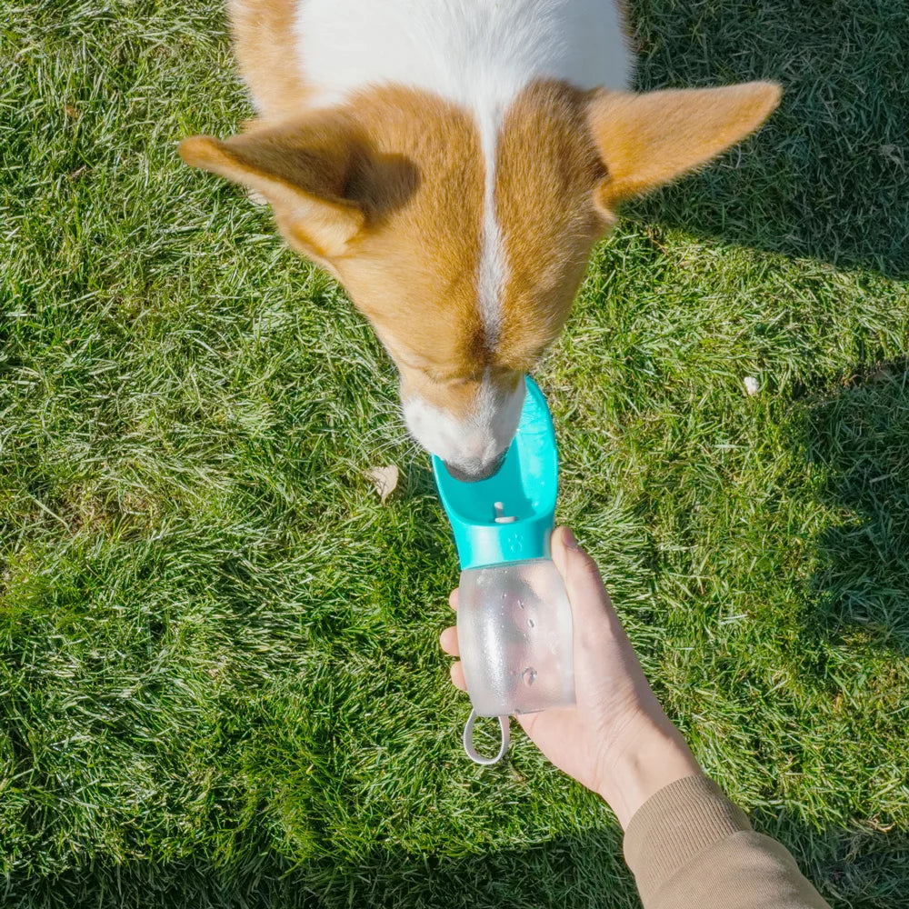 FreshPet – Bebedero de viaje portátil para mascotas